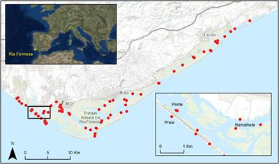 Assessing the effectiveness of management measures in the Ria Formosa coastal lagoon, Portugal